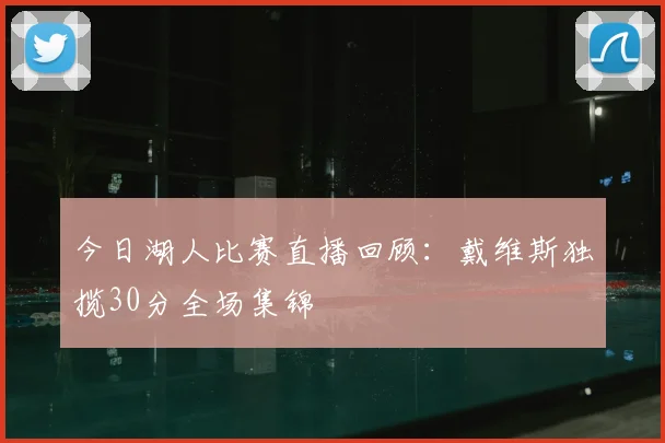 今日湖人比赛直播回顾：戴维斯独揽30分全场集锦