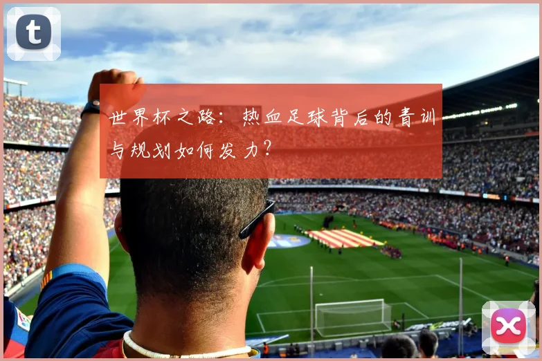 世界杯之路：热血足球背后的青训与规划如何发力？
