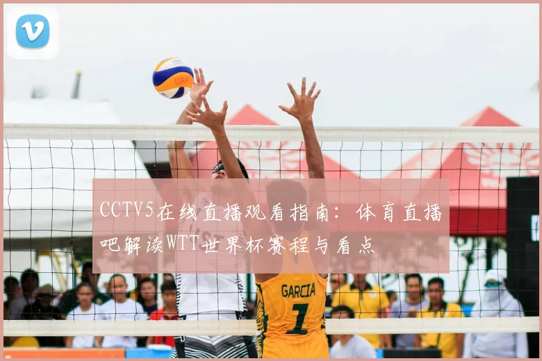 CCTV5在线直播观看指南：体育直播吧解读WTT世界杯赛程与看点