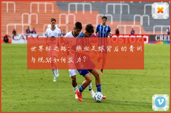 世界杯之路：热血足球背后的青训与规划如何发力？