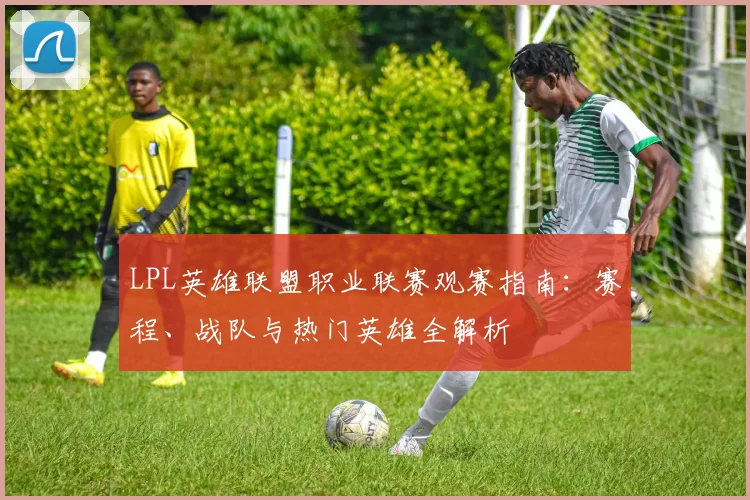 LPL英雄联盟职业联赛观赛指南：赛程、战队与热门英雄全解析